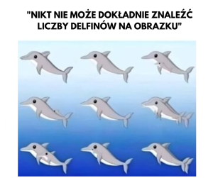 Ile delfinów widzisz na obrazku?